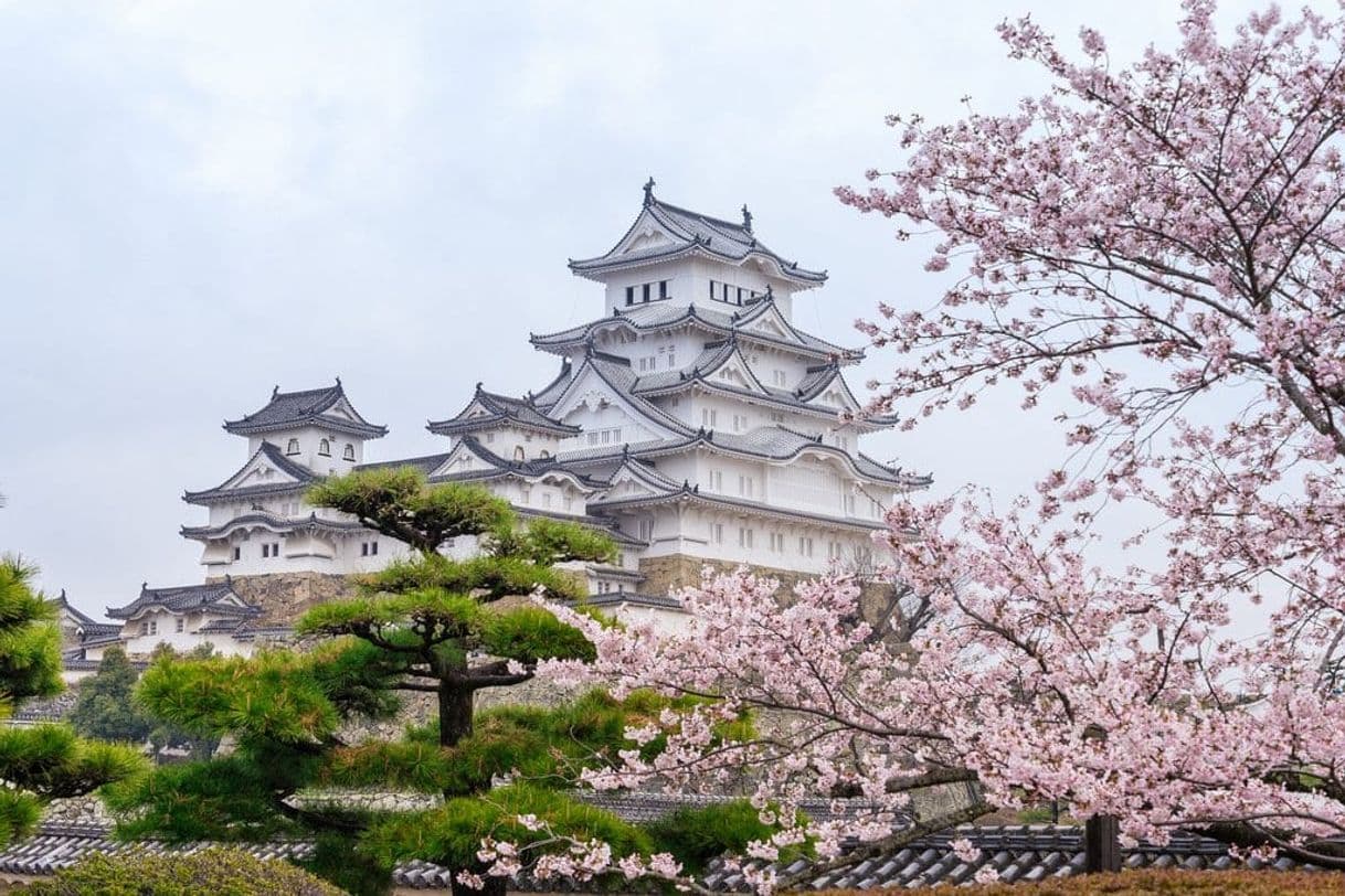 Place Himeji Castle