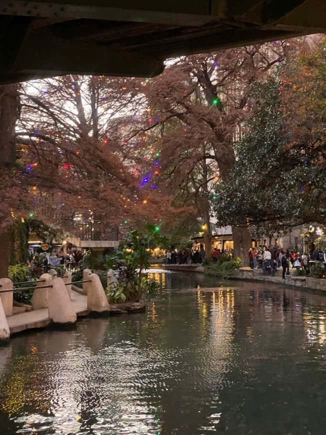 Place Paseo del río de San Antonio