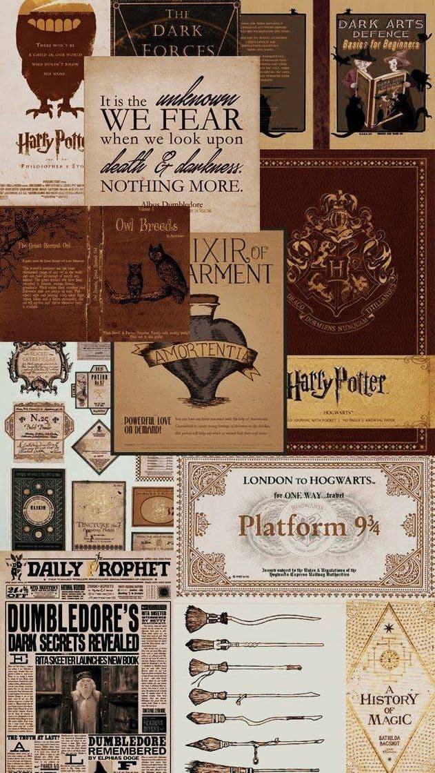 Moda Capa do Harry Potter ❤🧙‍♂️