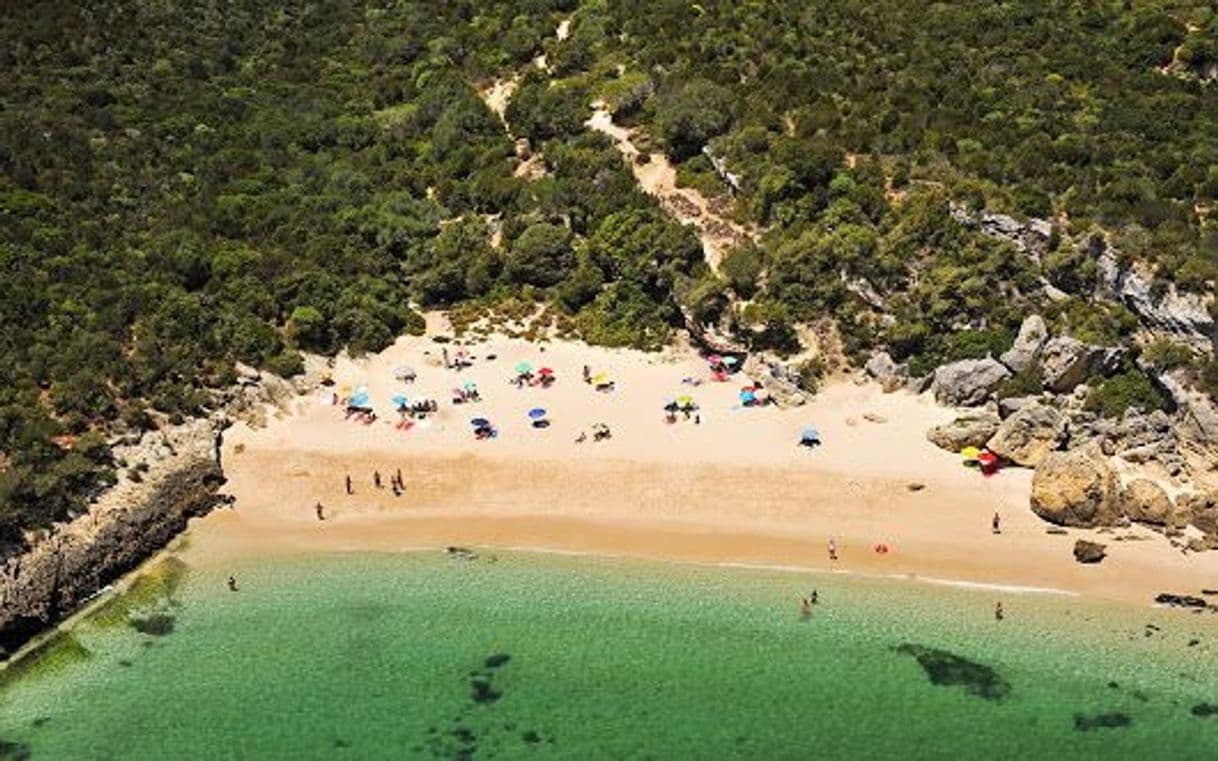 Lugar Praia dos Coelhos