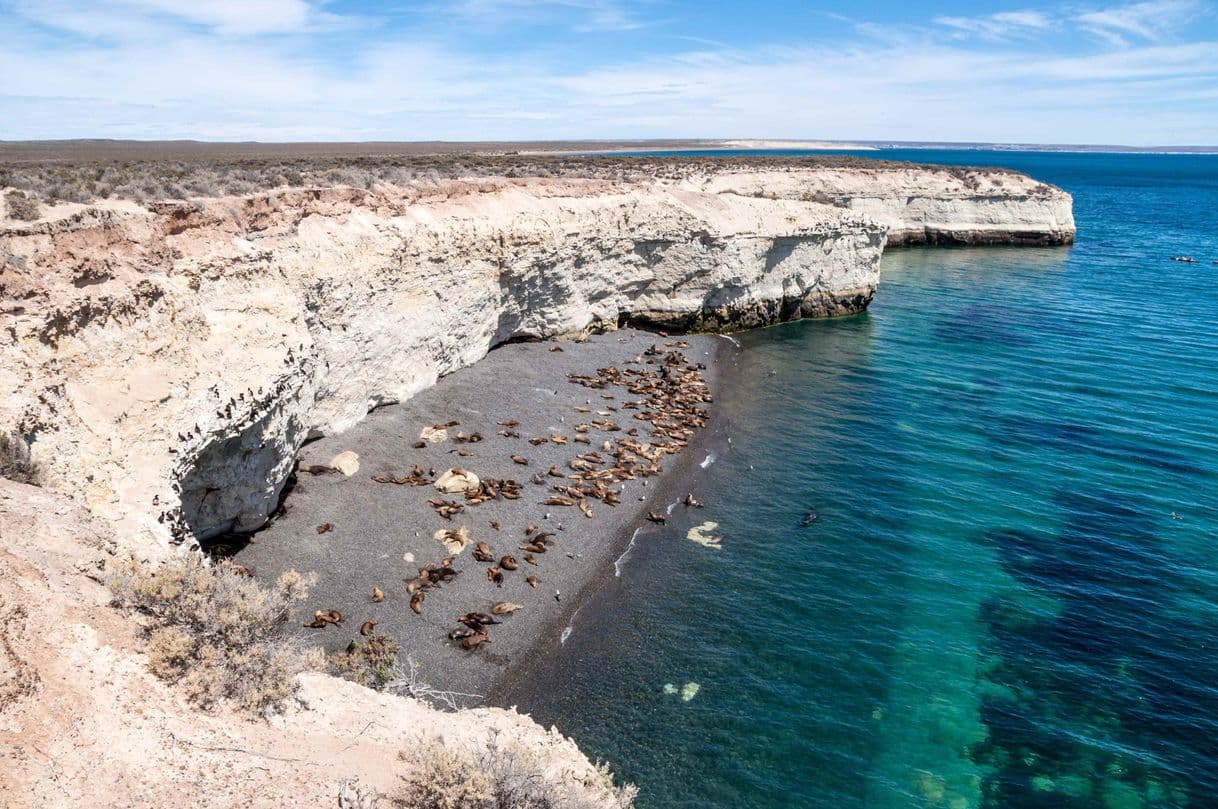 Lugar Puerto Madryn