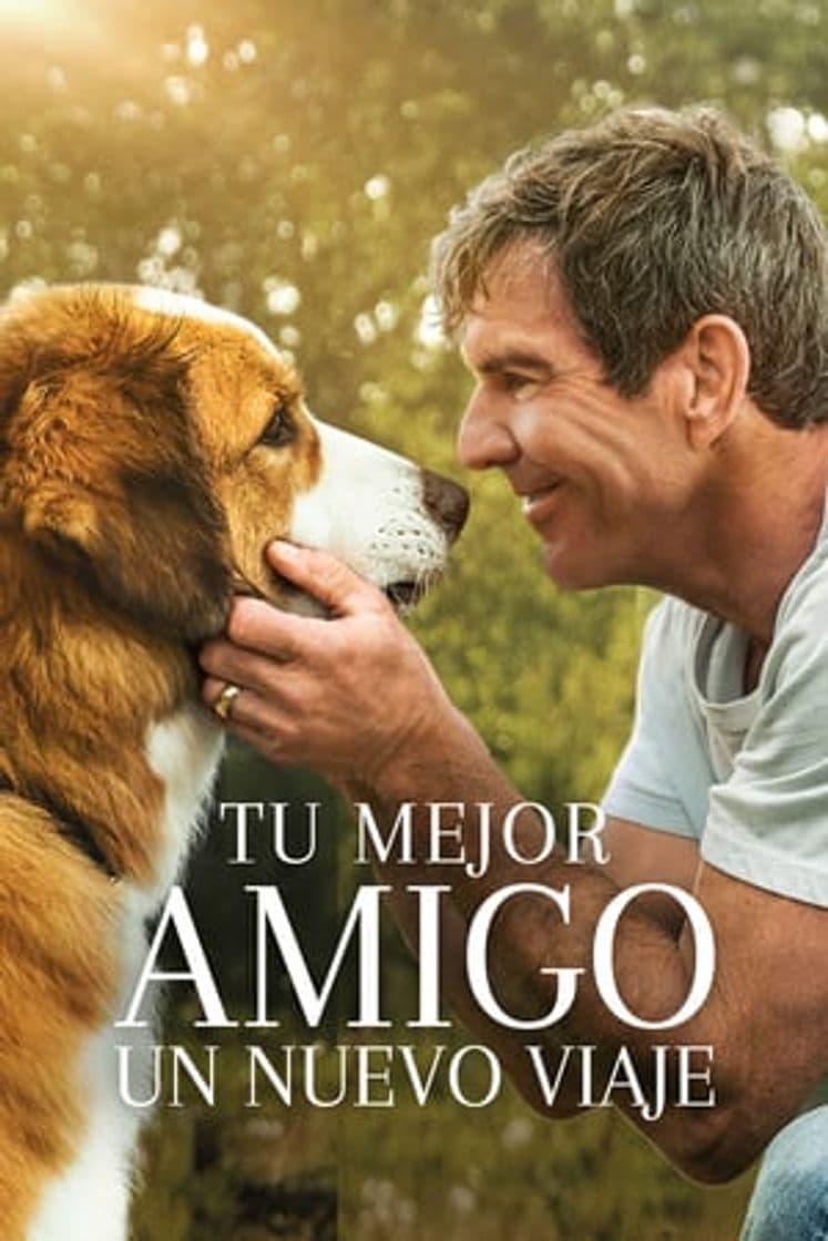 Película A Dog's Journey