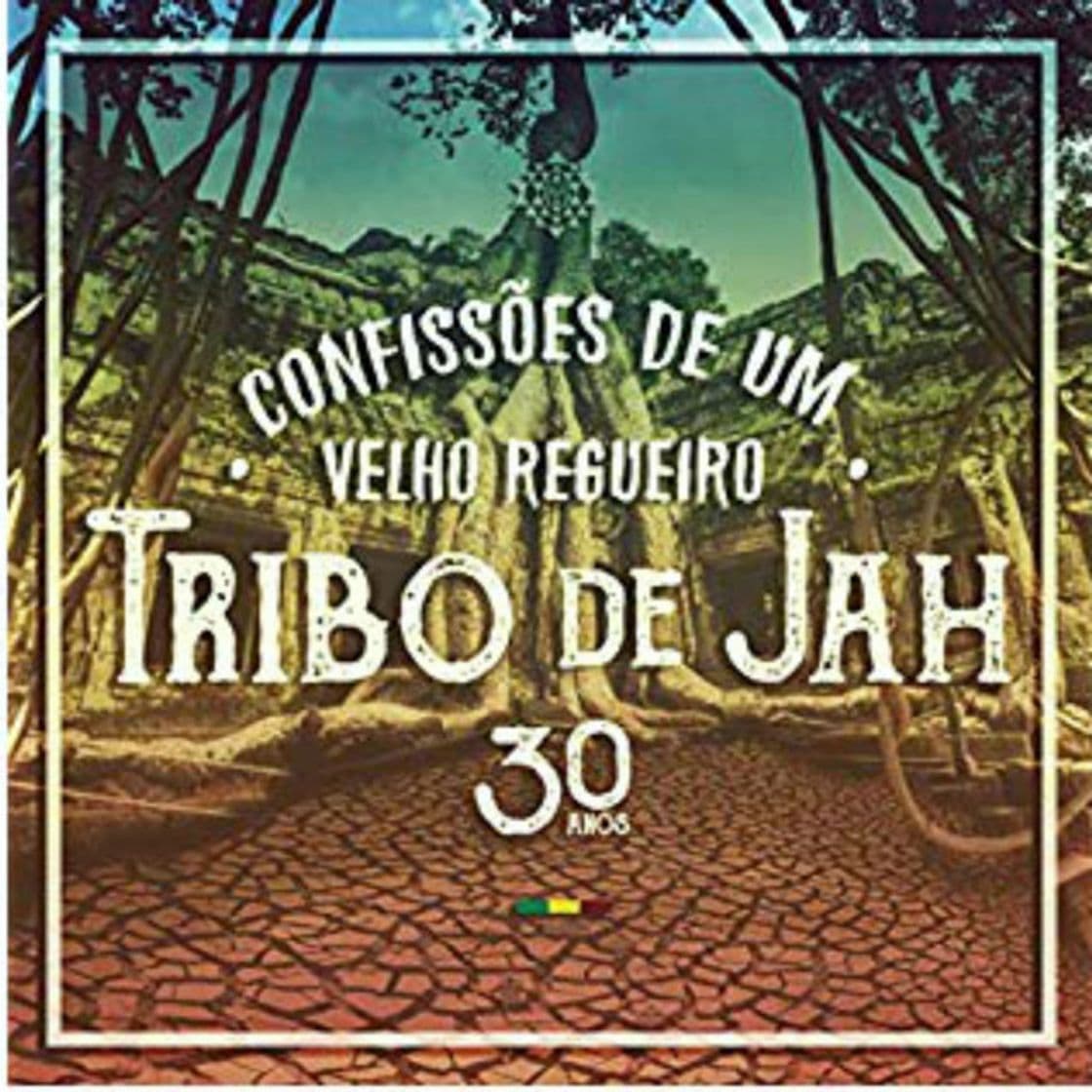 Canción Confissões de um Velho Regueiro