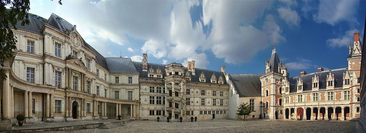 Lugar Castelo de Blois