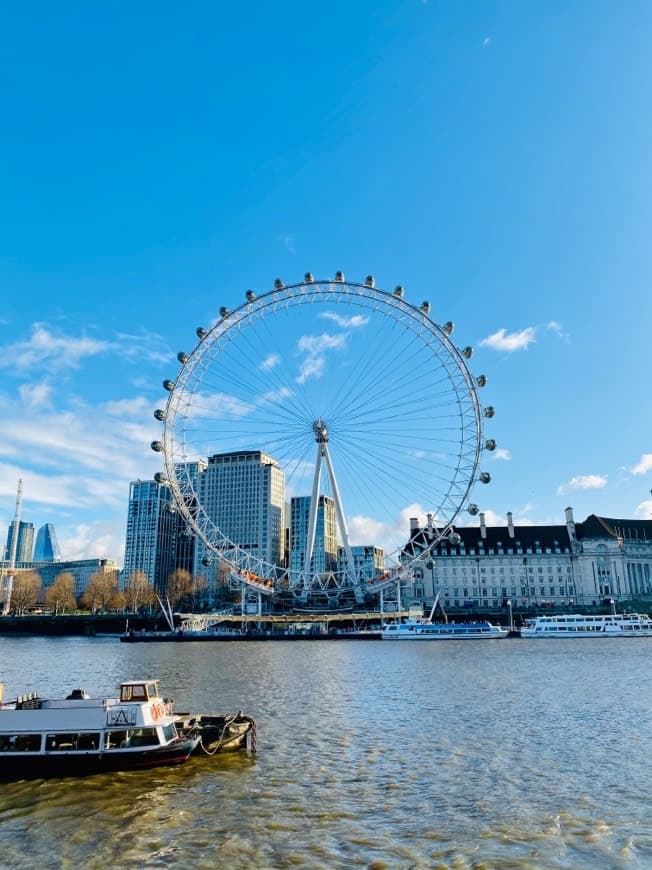 Place London Eye