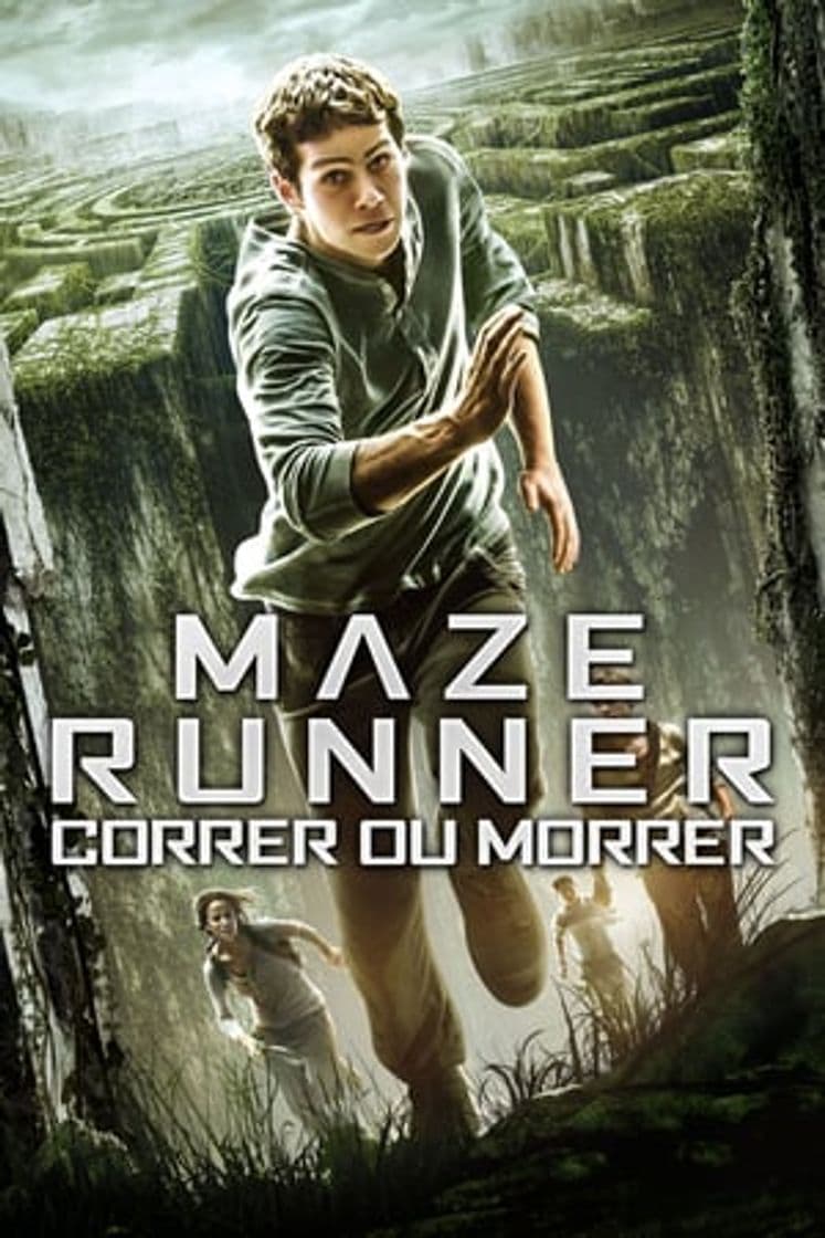 Película The Maze Runner