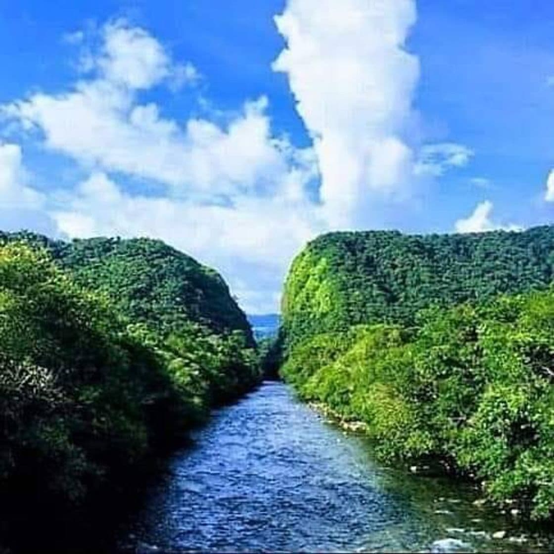 Place Portal Del Fragüita, Caquetá