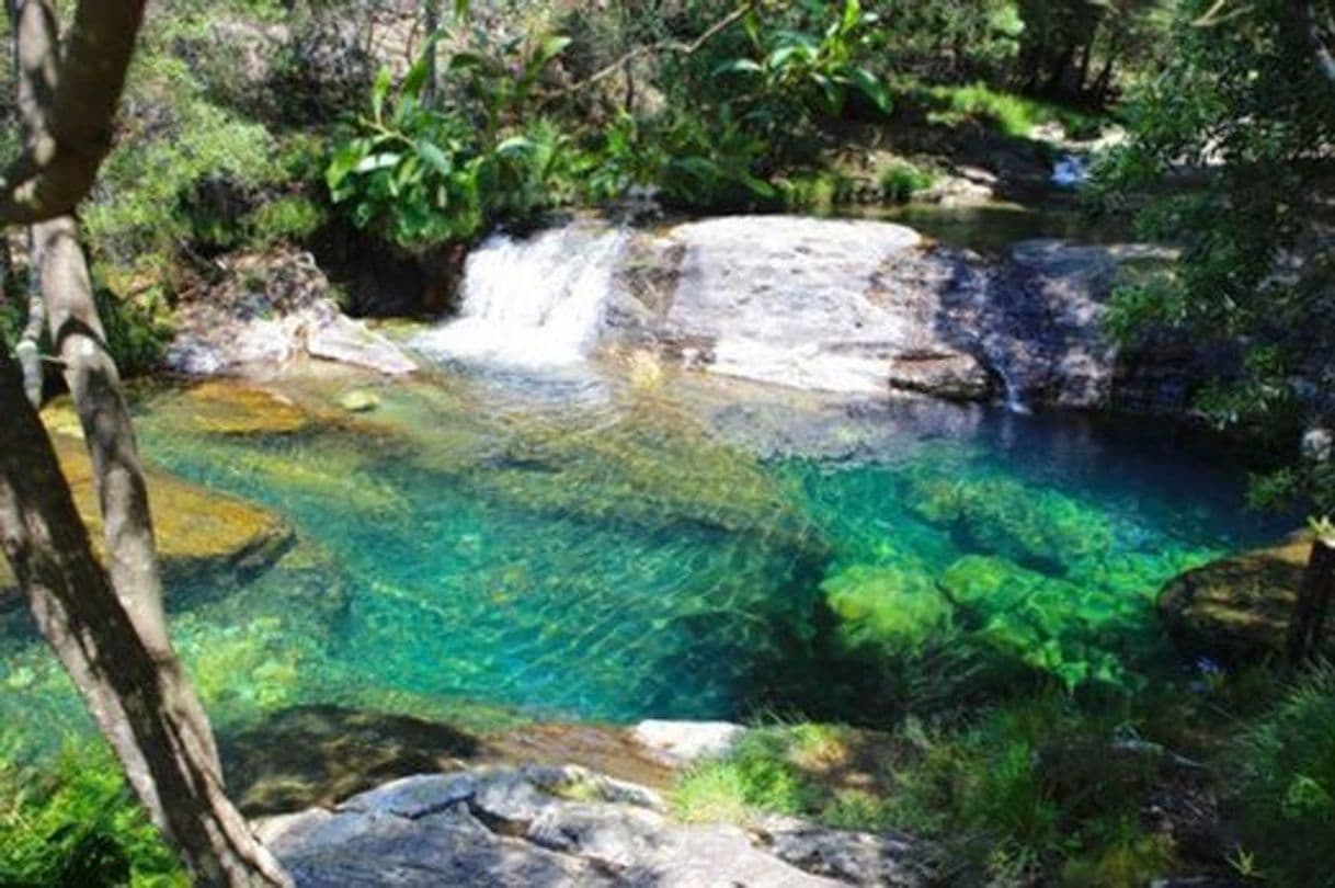 Place Cascata do Pincho