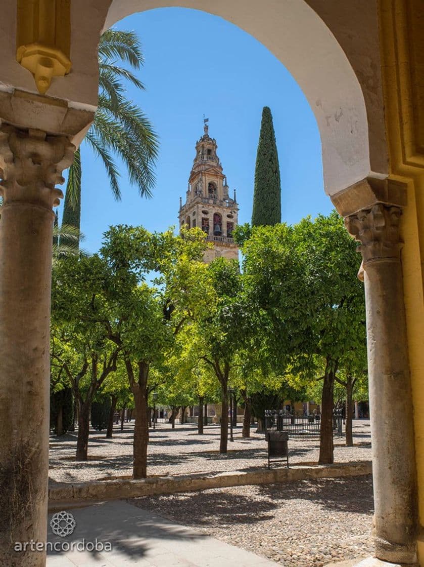 Place Patio de los Naranjos