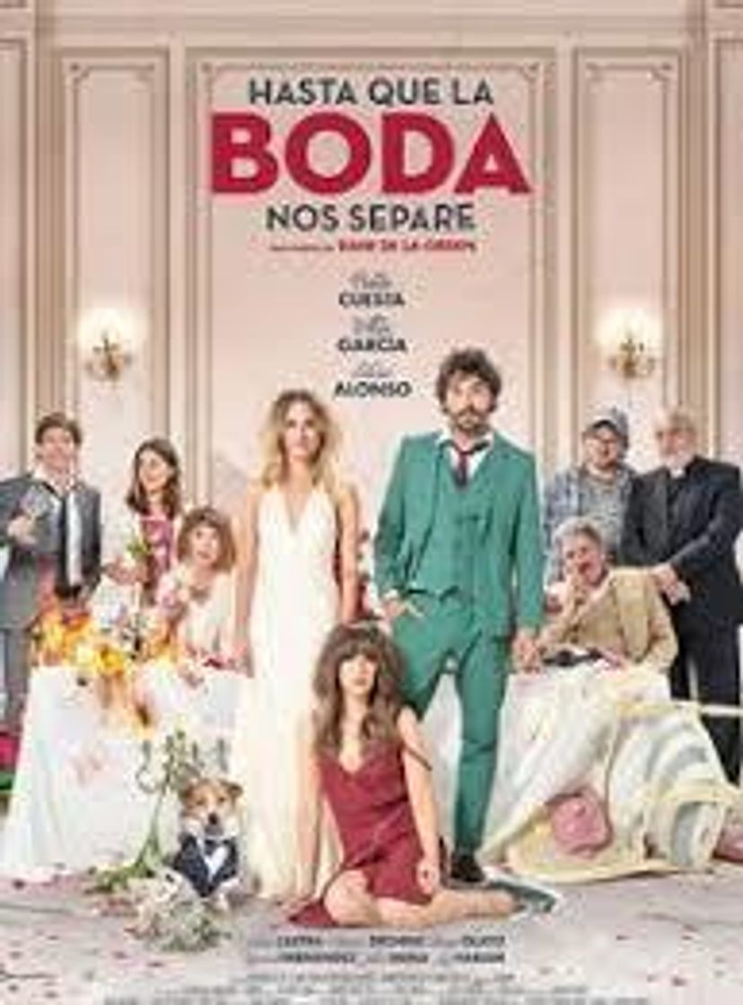 Película The Wedding Unplanner