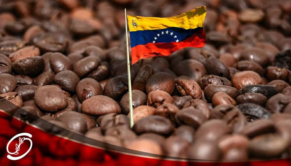 Moda Historia del Café en Venezuela