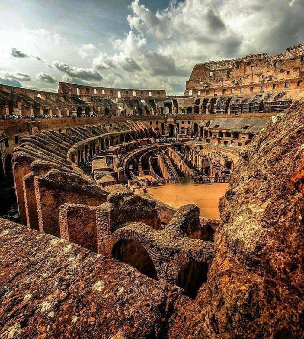 Lugar Coliseo de Roma