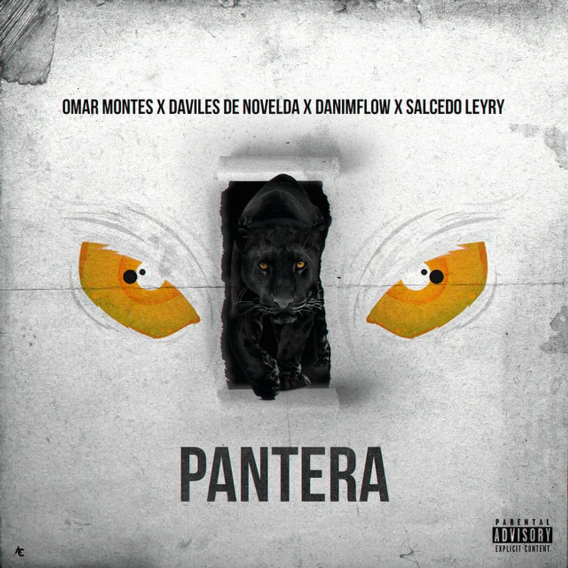 Music Pantera