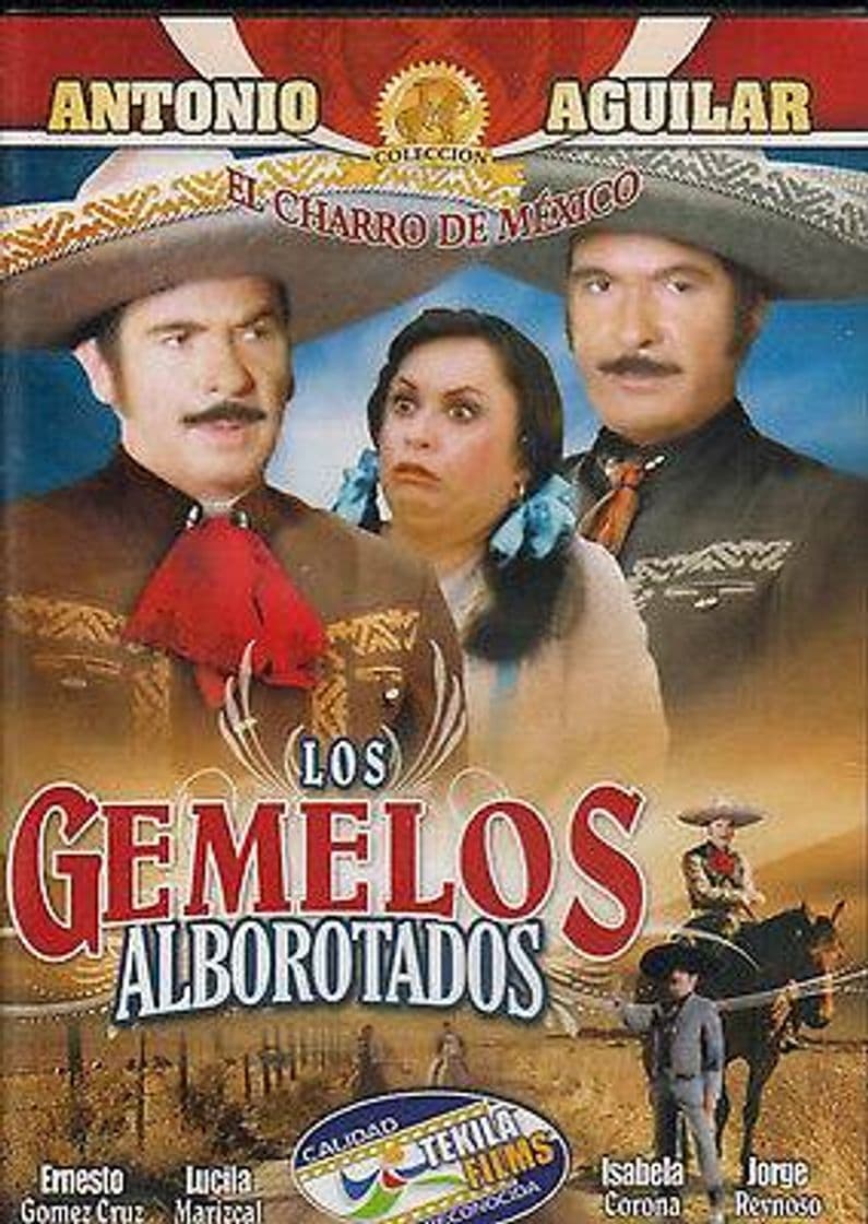 Movie Los gemelos alborotados