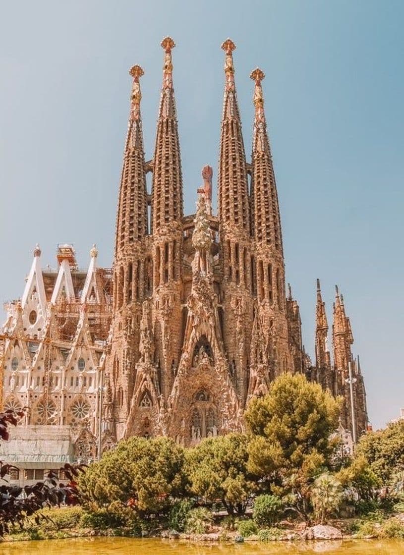 Fashion SAGRADA FAMÍLIA