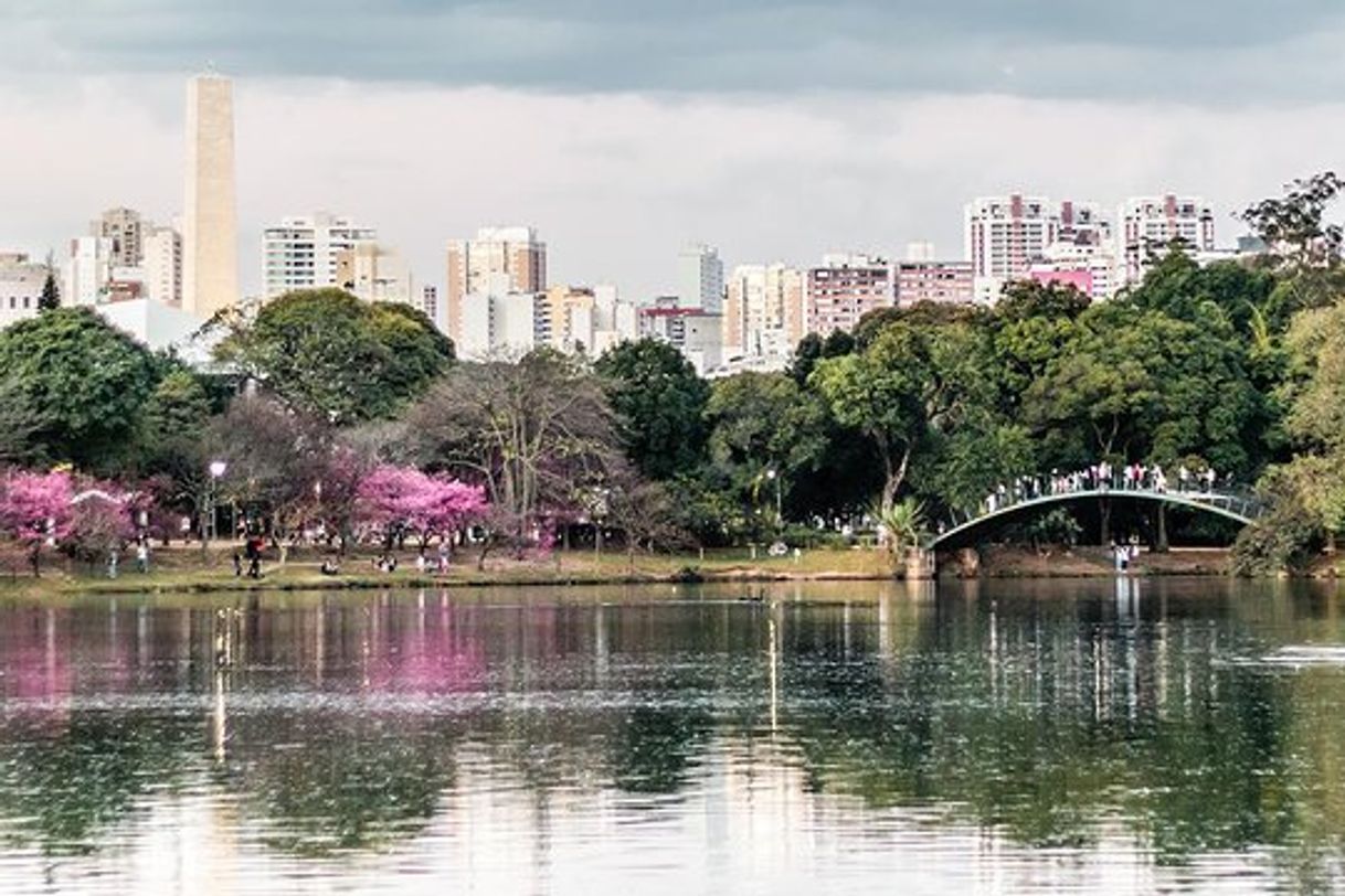 Place Parque Ibirapuera Conservação