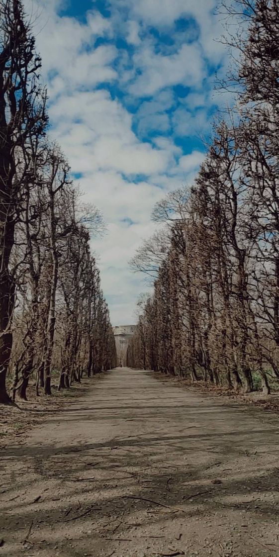 Place Augarten