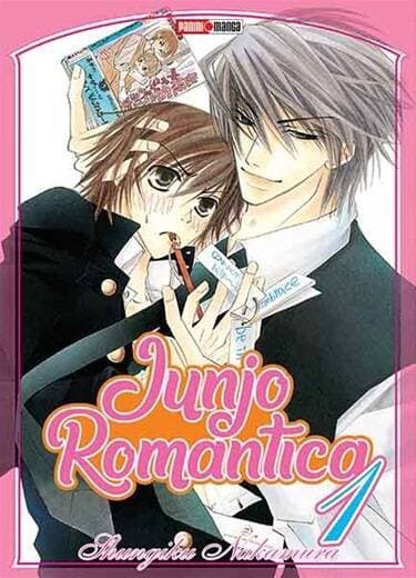 Book Junjo Romantica