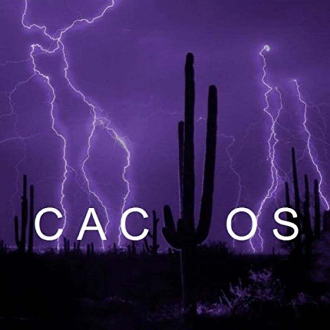 Producto Cactos