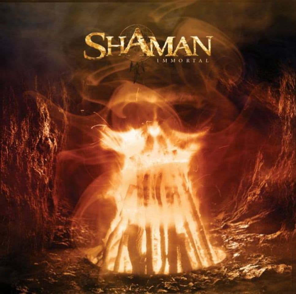 Music In the Dark - Shaman