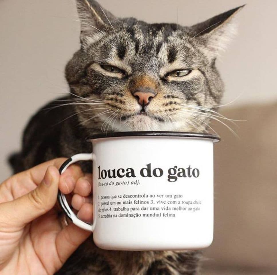 Product Caneca esmaltada Louca do gato