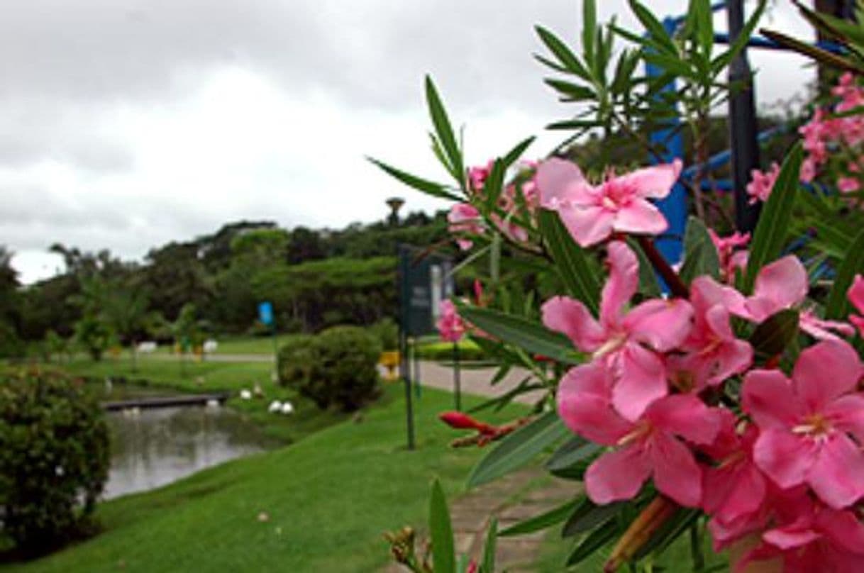 Place Parque Municipal do Horto de Maruípe