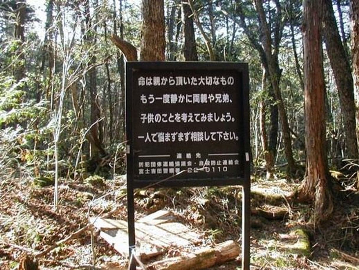 Movie Aokigahara: Suicide Forest