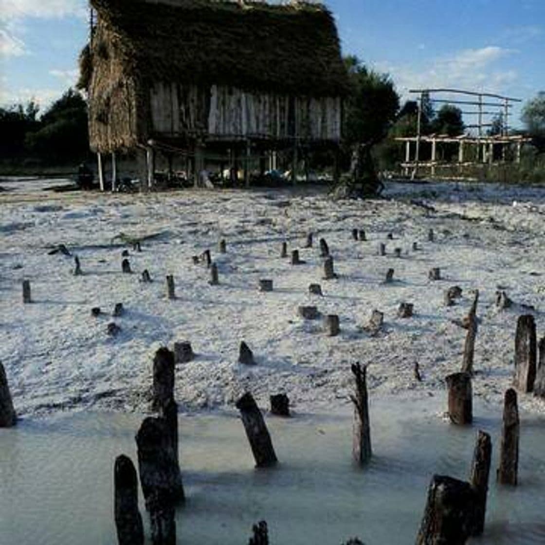 Fashion Prehistoric Pile Dwellings around the Alps