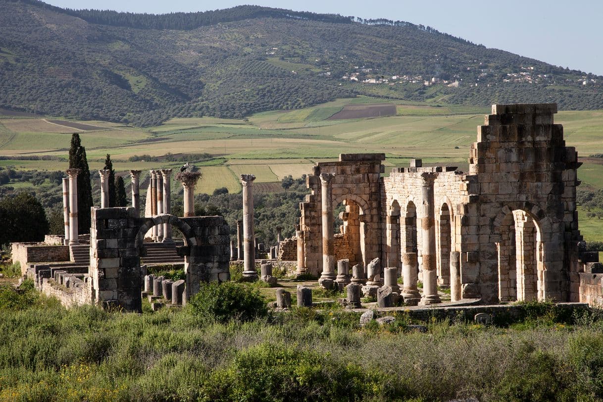 Fashion Archaeological Site of Volubilis