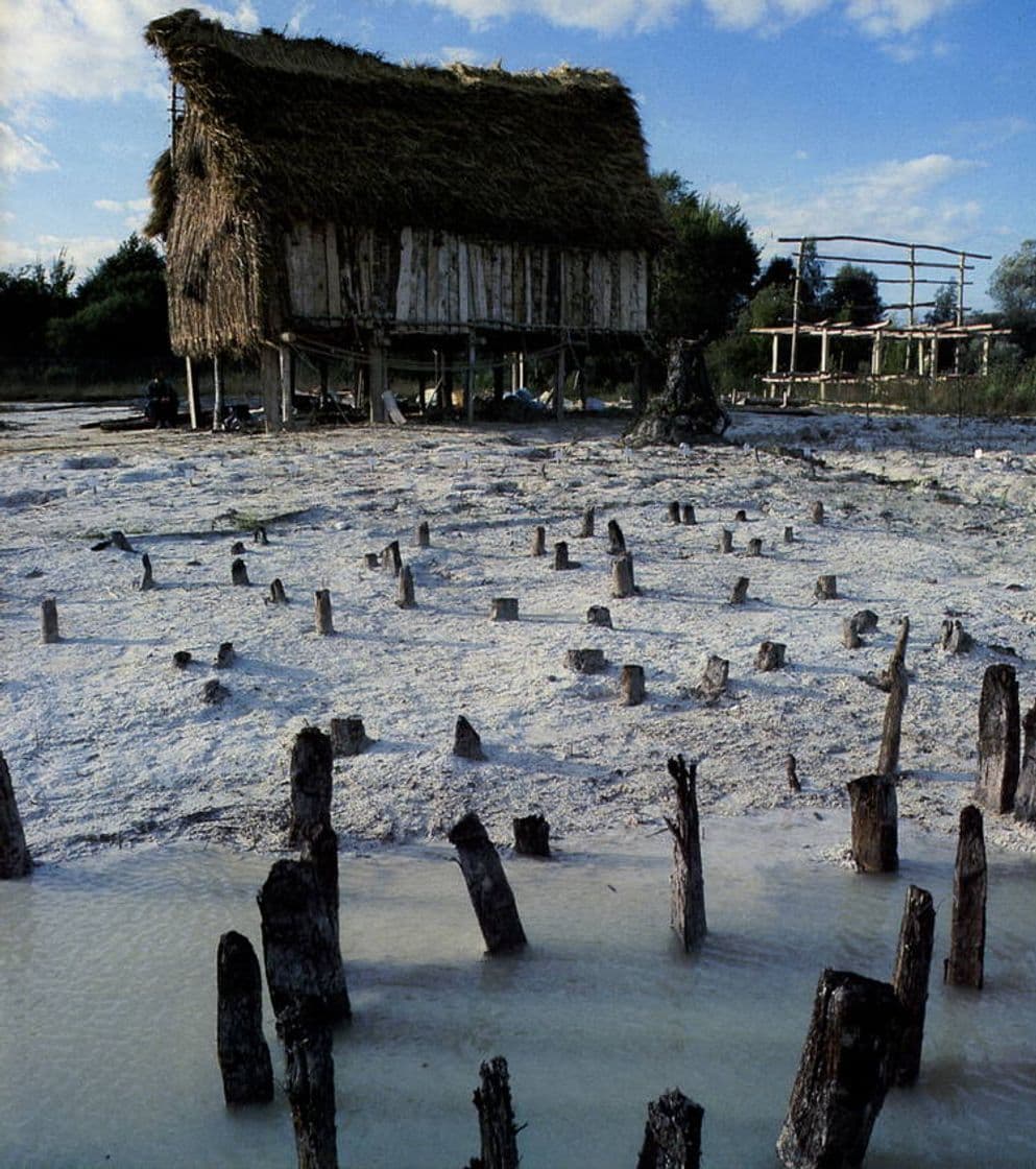 Moda Prehistoric Pile Dwellings around the Alps