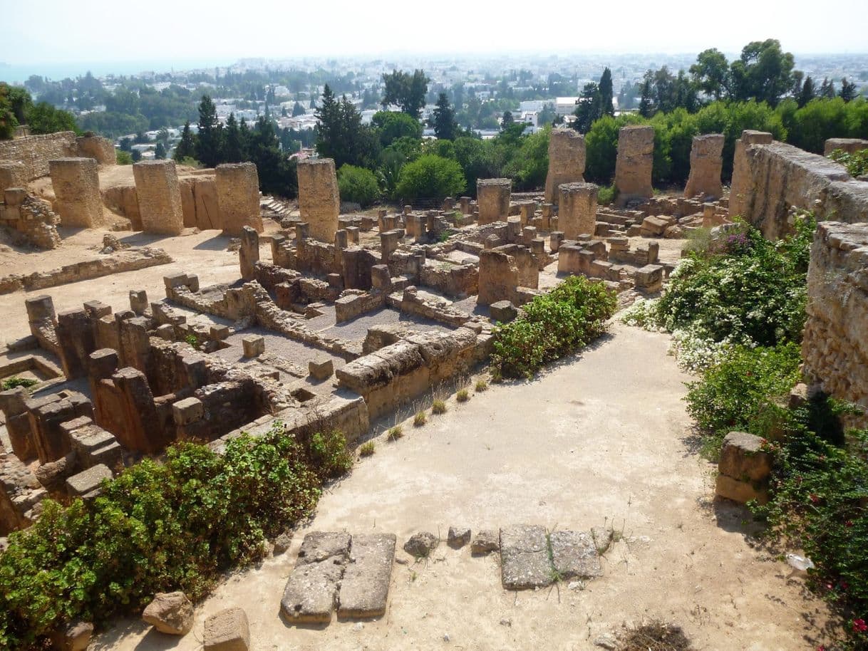 Moda Archaeological Site of Aigai (modern name Vergina)