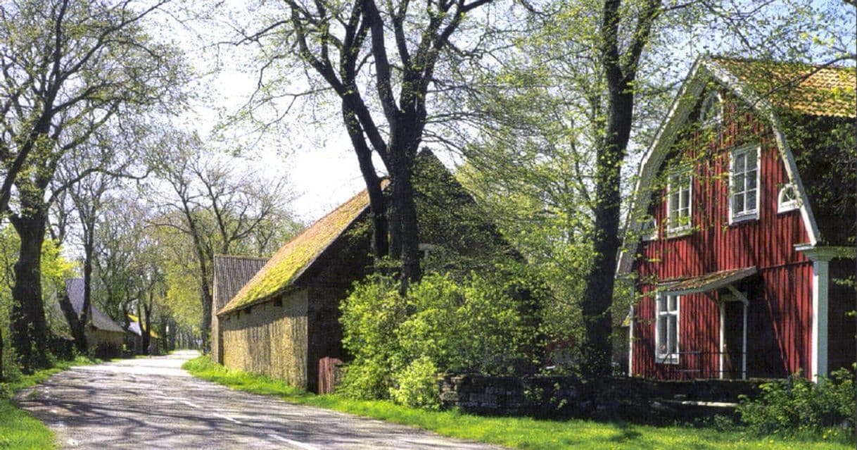 Fashion Agricultural Landscape of Southern Öland