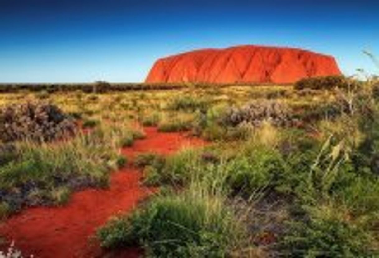 Fashion Uluru and Kata Tjuta National Park