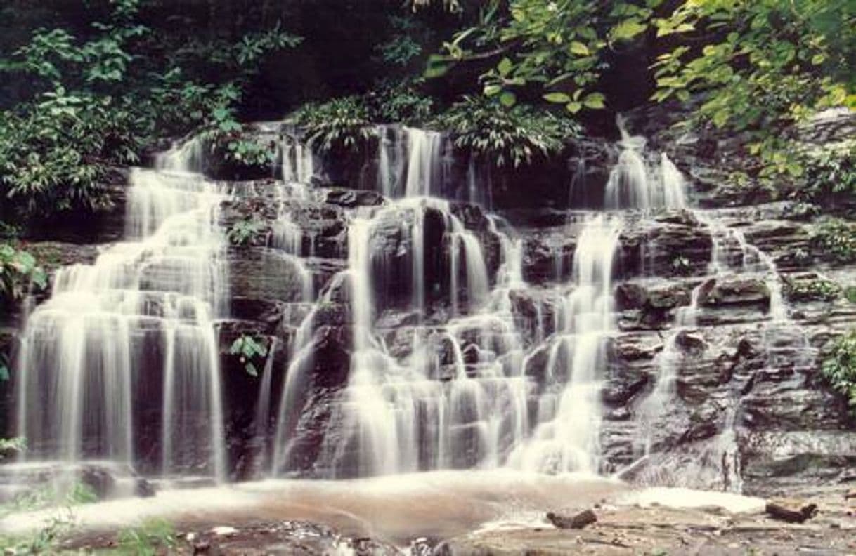 Moda Los Katíos National Park