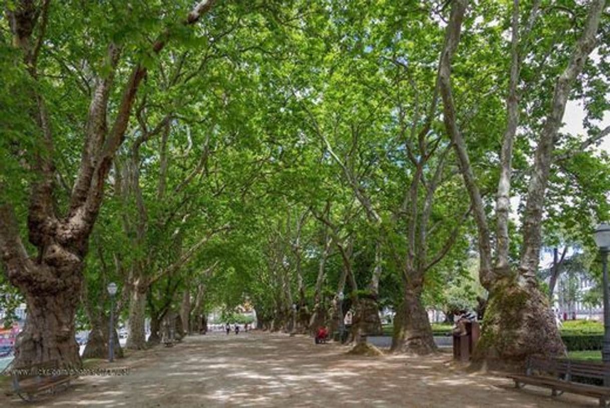 Place Jardim de João Chagas