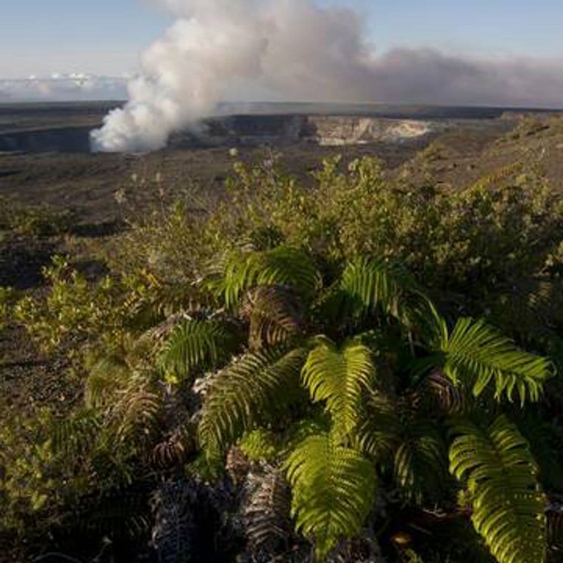 Fashion Hawaii Volcanoes National Park