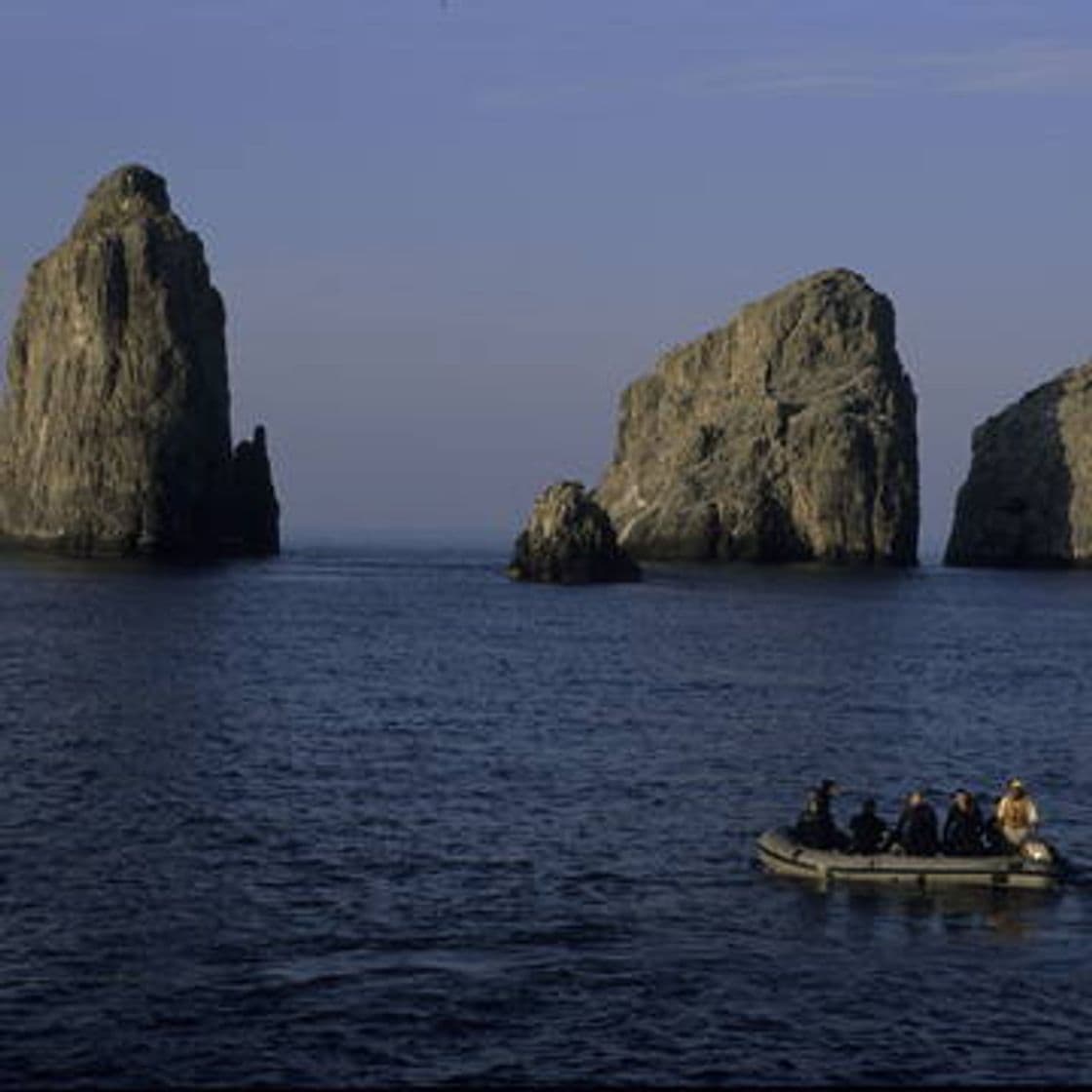 Moda Malpelo Fauna and Flora Sanctuary