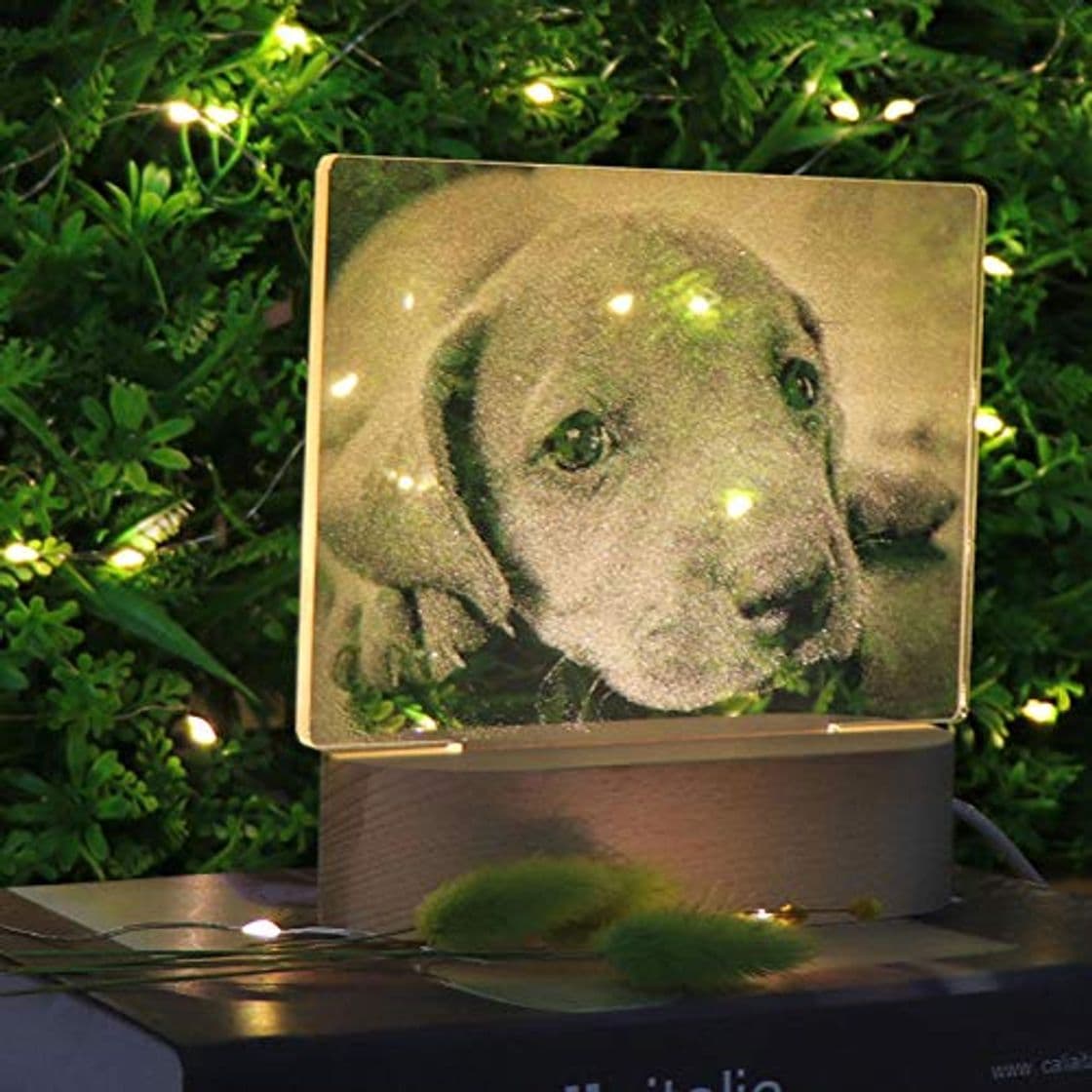 Product LED foto cachorro 3D noche luz lámpara de noche pareja niños vacaciones