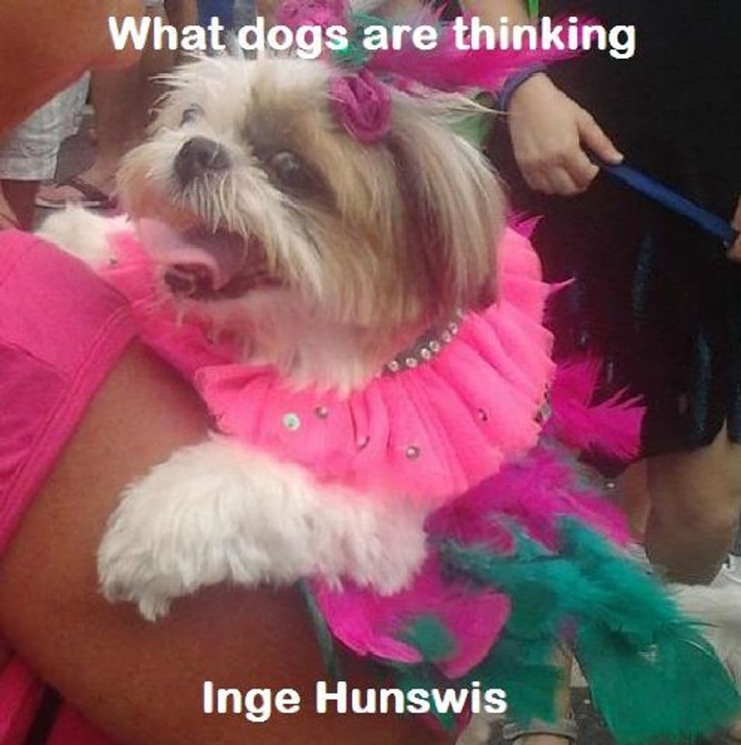 Product What dogs are thinking - A funny photo eBook