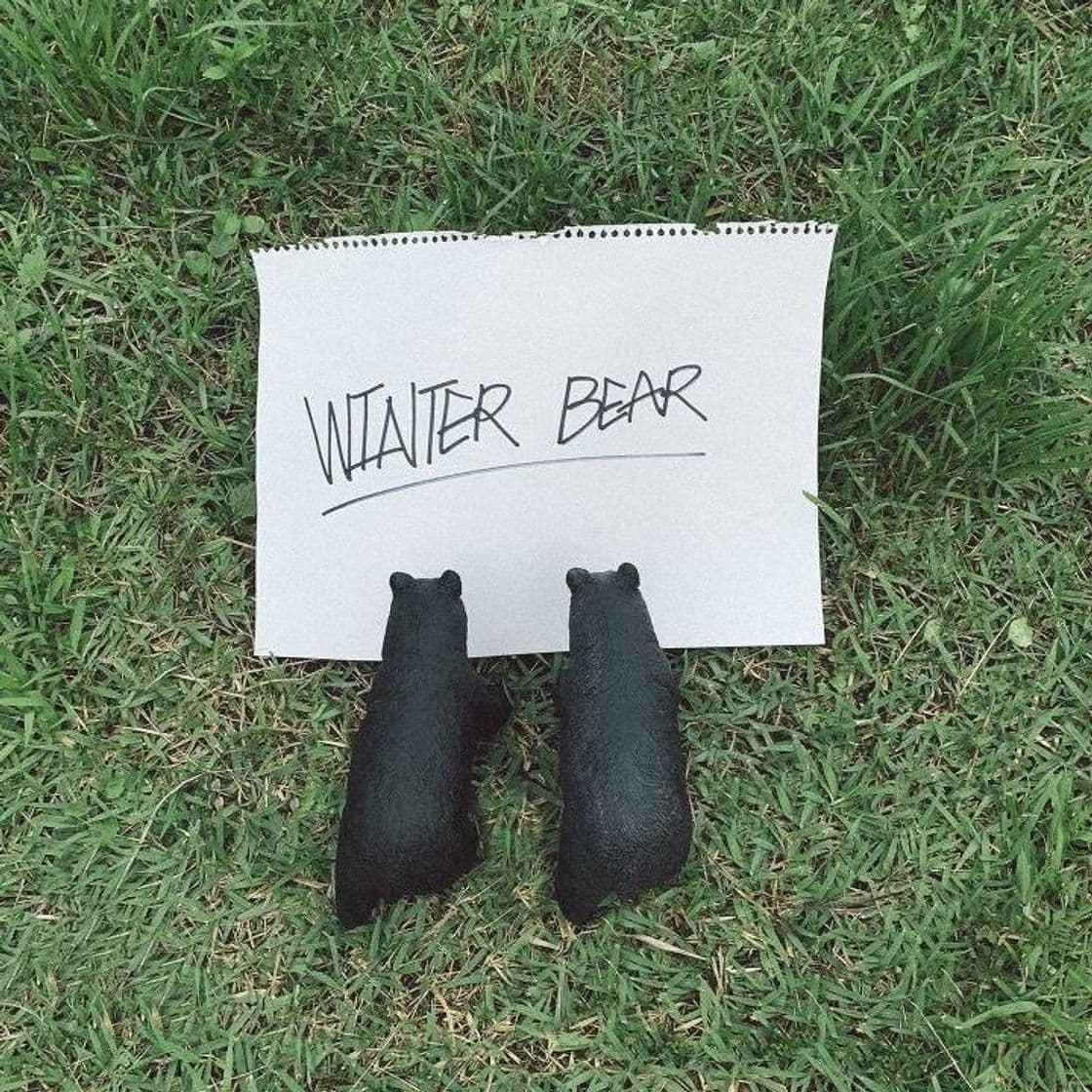 Canción Winter Bear- V