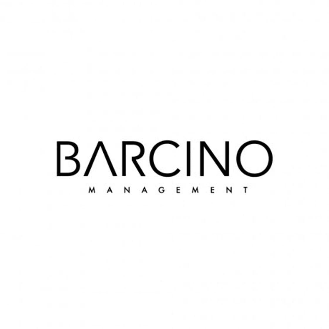 Lugar Barcino Management