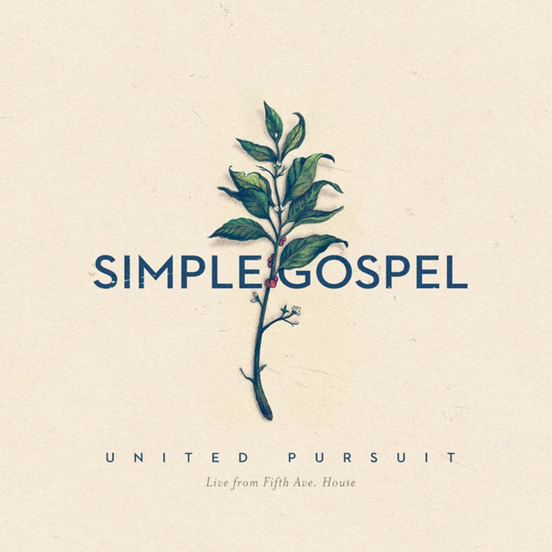 Canción Simple Gospel (Live)