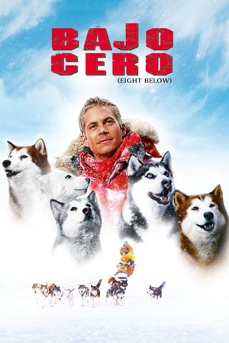 Película Eight Below