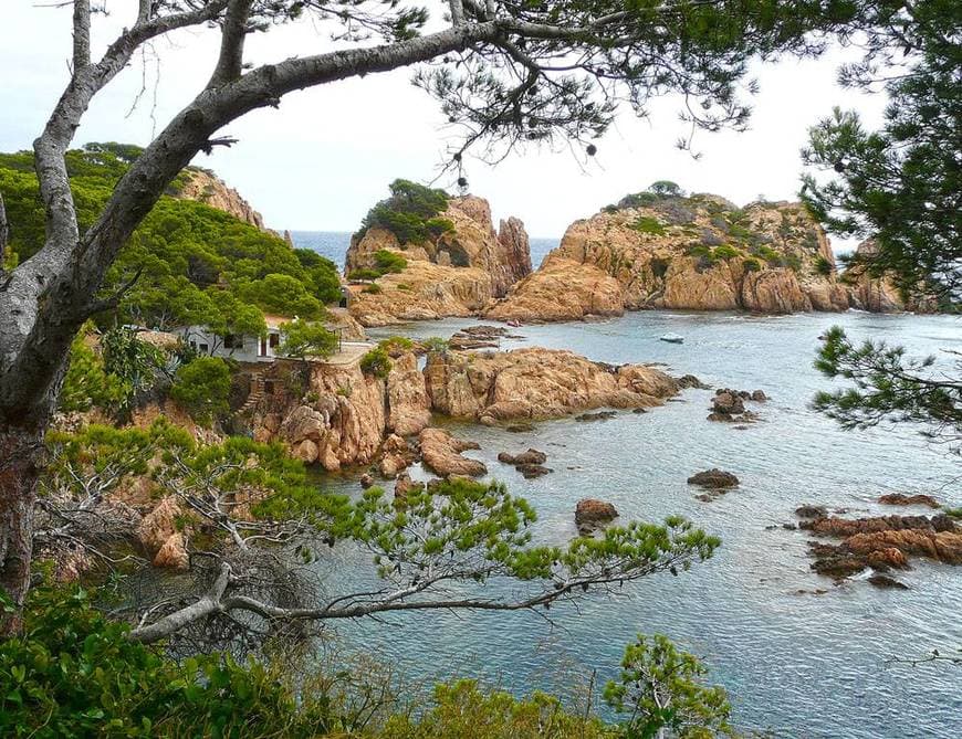 Place Cala Aigua Xelida, Tamariu (Girona) 