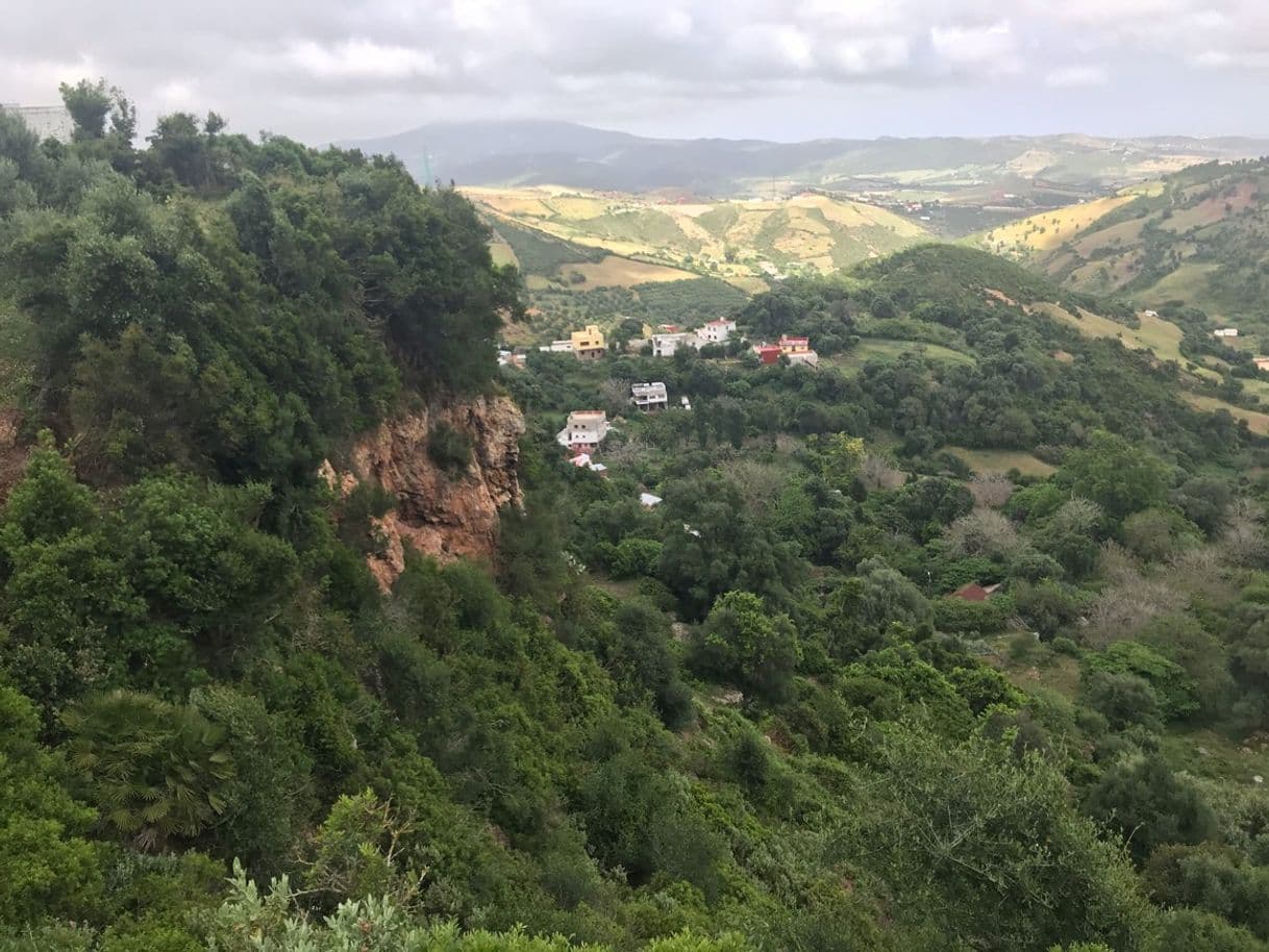 Lugar Tapada Nacional de Mafra