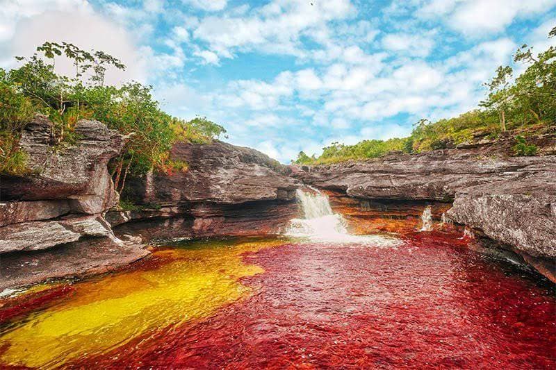 Place Caño Cristales