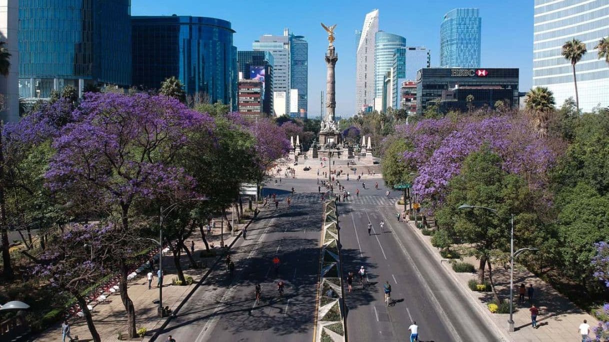 Lugar Avenida Paseo de la Reforma