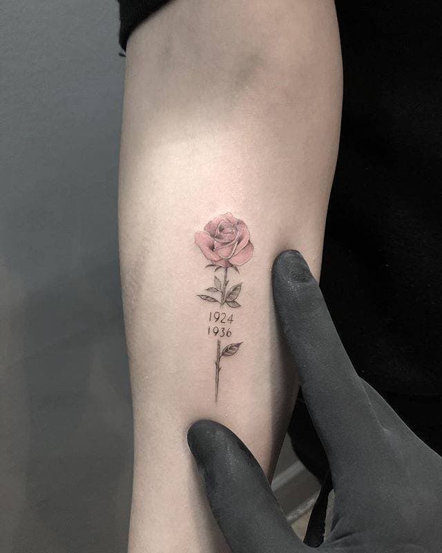 Moda Tatuagem de rosa