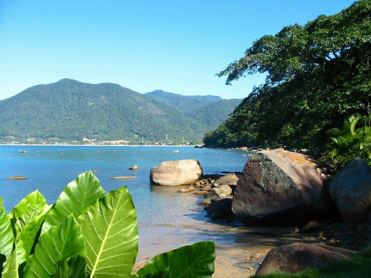 Lugar Ubatuba