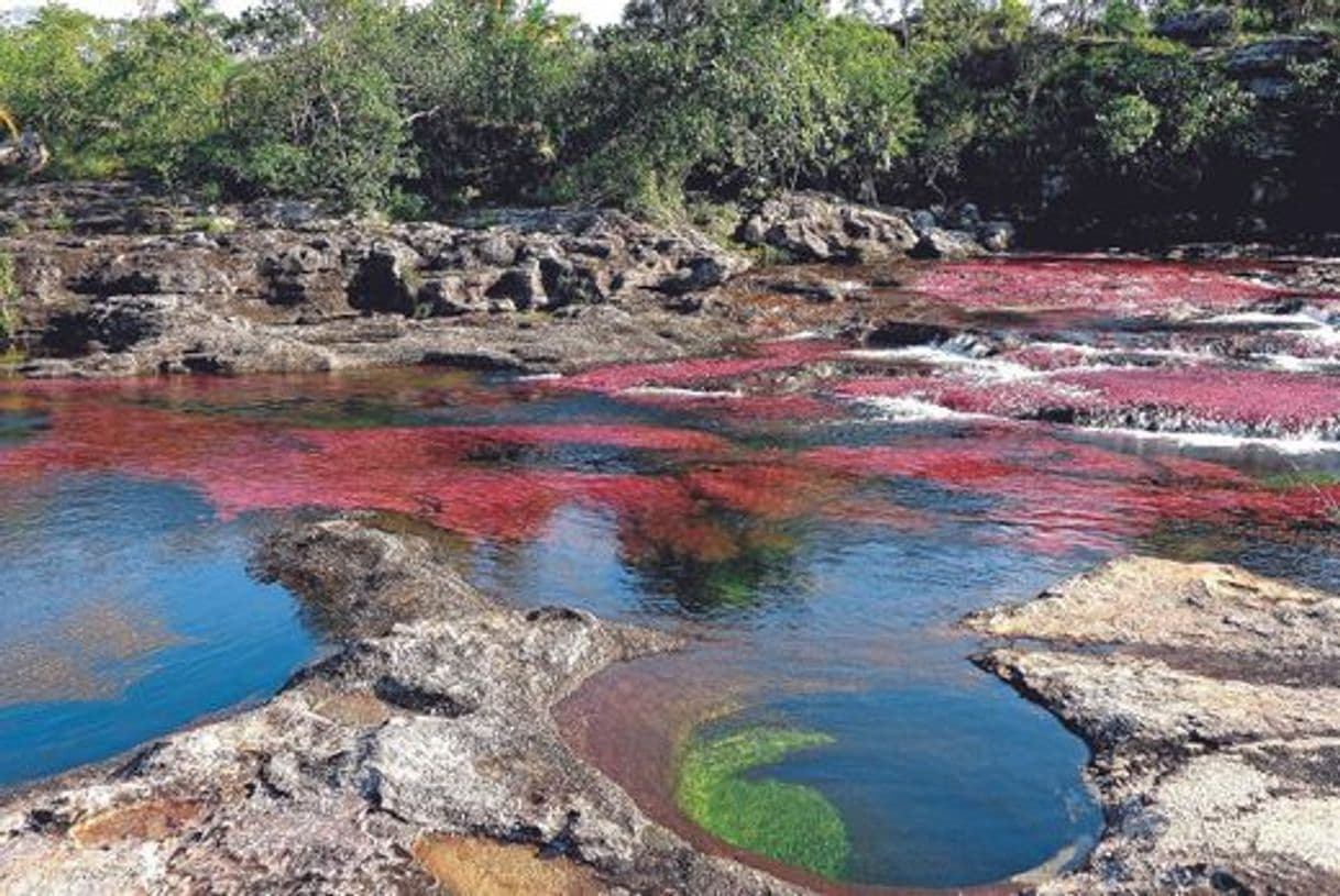 Lugar Caño Cristales